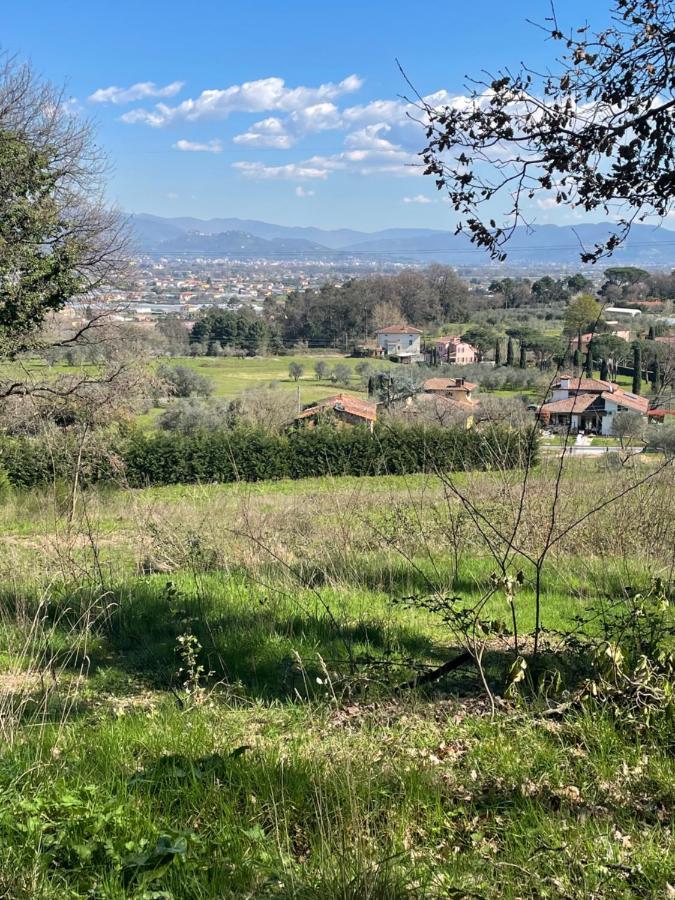 Apartment Charming In Tuscany San Piero in Campo (Tuscany)